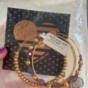 Alex and Ani sand dollar set in gold